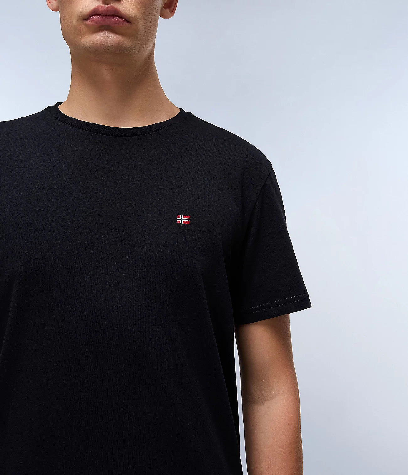 NAPAPIJRI T-Shirt girocollo maniche corte con bandierina ricamata sul petto SALIS SS SUM