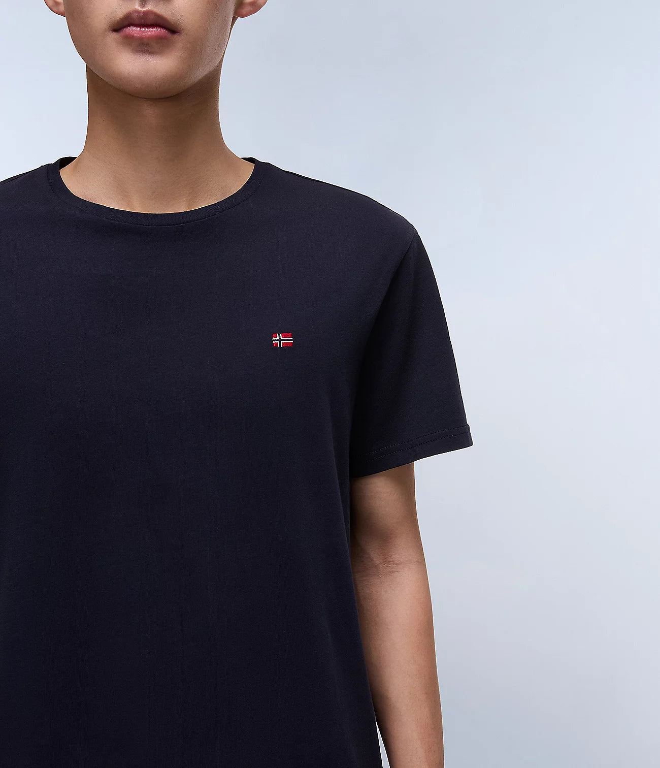 NAPAPIJRI T-Shirt girocollo maniche corte con bandierina ricamata sul petto SALIS SS SUM