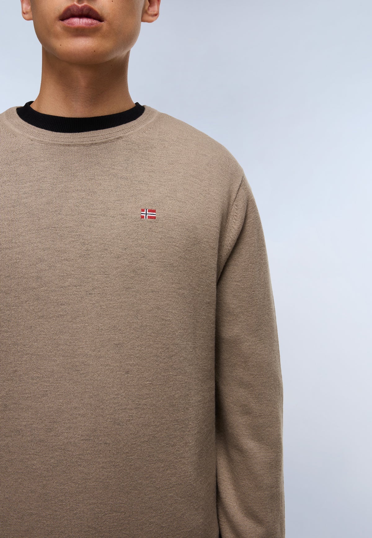 NAPAPIJRI Maglia girocollo in lana merinos con logo bandiera ricamato DAMAVAND C