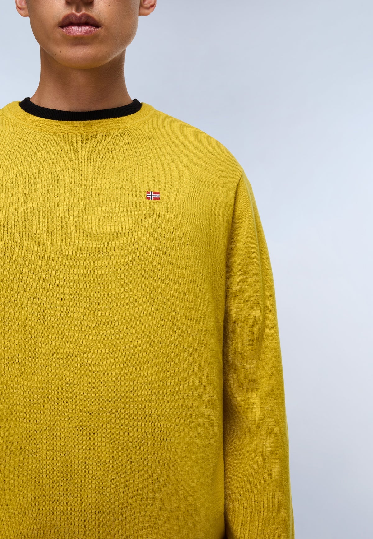 NAPAPIJRI Maglia girocollo in lana merinos con logo bandiera ricamato DAMAVAND C