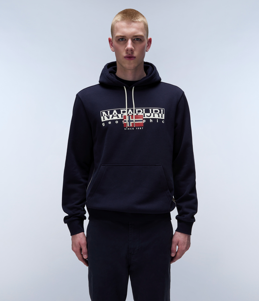 NAPAPIJRI Felpa con cappuccio blu AYLMER H WINTER