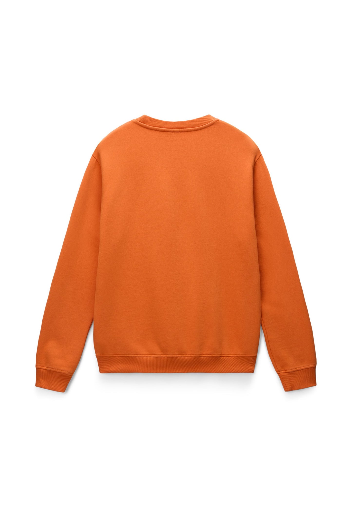 NAPAPIJRI Felpa uomo girocollo BALIS CREW NECK WINTER